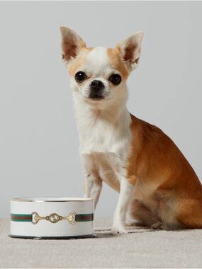 Gucci Small Horsebit Print Pet Bowl